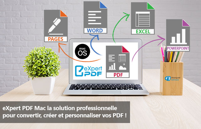 expert pdf to word mac